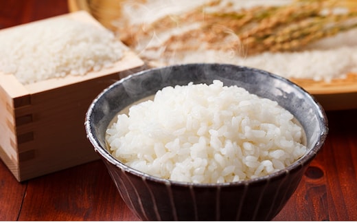 令和7年産 きぬむすめ 精白米 5kg 白米 お米 岡山