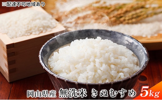 令和7年産 無洗米 きぬむすめ 5kg 白米 お米 岡山