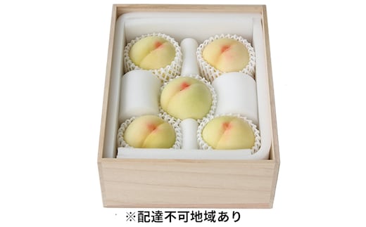 桃 2026年 先行予約 岡山特産 清水白桃 約1.5kg 5玉 桐箱入りもも モモ 岡山 国産 フルーツ 果物 ギフト 桃茂実苑