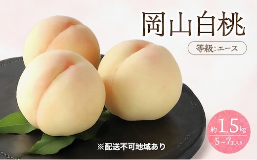 桃 2026年 先行予約 白桃 等級 エース 約1.5kg 5～7玉入り もも モモ 岡山 国産 フルーツ 果物 桃茂実苑