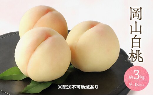 桃 2026年 先行予約 白桃 3kg 9～12玉 もも モモ 岡山 国産 フルーツ 果物 ギフト 桃茂実苑