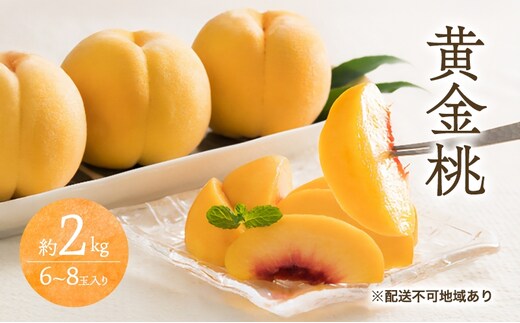 桃 2026年 先行予約 黄金桃 2kg 6～8玉 もも モモ 岡山 国産 フルーツ 果物 ギフト 桃茂実苑