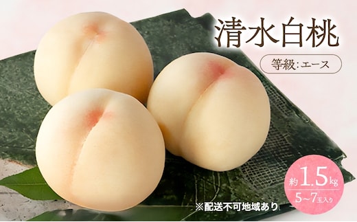 桃 2026年 先行予約 清水 白桃 等級 エース 約1.5kg 5～7玉入りもも モモ 岡山 国産 フルーツ 果物 桃茂実苑