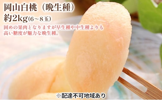 固めの 桃 2026年 先行予約 白桃 晩生種 2kg 6～8玉 もも モモ 岡山 国産 フルーツ 果物 ギフト 桃茂実苑