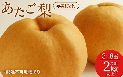 梨 早期受付 岡山 の あたご 梨 3～8玉 合計2kg以上 なし ナシ 岡山県産 国産 フルーツ 果物 ギフト桃茂実苑