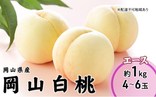 桃 2026 年先行予約 岡山 白桃 エース 4～6玉 1kg 岡山県産 JAおかやまのもも モモ 岡山県産 国産 フルーツ 果物 ギフト