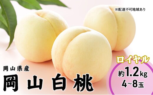 桃 2026年 先行予約 岡山 白桃 ロイヤル 4～8玉 1.2kg 岡山県産 JAおかやまのもも モモ 岡山県産 国産 フルーツ 果物 ギフト