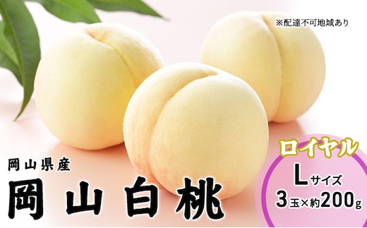 桃 2026年 先行予約 岡山 白桃 ロイヤル 3玉×200g（Lサイズ） 岡山県産 JAおかやまのもも モモ 岡山県産 国産 フルーツ 果物 ギフト