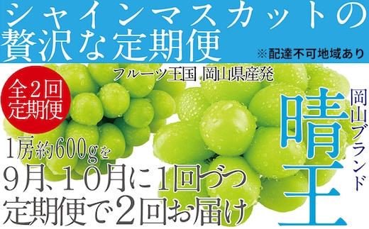 ぶどう 先行予約 【2回定期便】 シャイン マスカット 晴王 1房 約600g ブドウ 葡萄 岡山県産 国産 フルーツ 果物 ギフト デザート 食後 酸味が少ない 9月・10月にお届け ハレノフルーツ