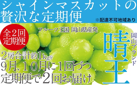 ぶどう 先行予約 【2回定期便】 シャイン マスカット 晴王 2房（合計約1kg） ブドウ 葡萄 岡山県産 国産 フルーツ 果物 ギフト デザート 食後 酸味が少ない 9月・10月にお届け ハレノフルーツ