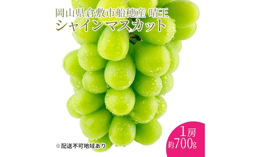 ぶどう2026年 先行予約 【プレミアムシャインマスカット 晴王 1房 約700g】船穂産 赤秀品以上 岡山県産 葡萄 ブドウ ギフト ハレノフルーツ 皮ごと食べる みずみずしい