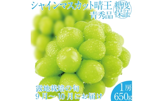 2026年 先行予約受付中 シャインマスカット晴王 1房 約650g 岡山県産 種無し 皮ごと食べる みずみずしい 甘い フレッシュ 瀬戸内 晴れの国 おかやま 果物大国 ハレノフルーツ