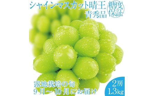 2026年 先行予約受付中 シャインマスカット晴王 2房 約1.3kg 岡山県産 種無し 皮ごと食べる みずみずしい 甘い フレッシュ 瀬戸内 晴れの国 おかやま 果物大国 ハレノフルーツ