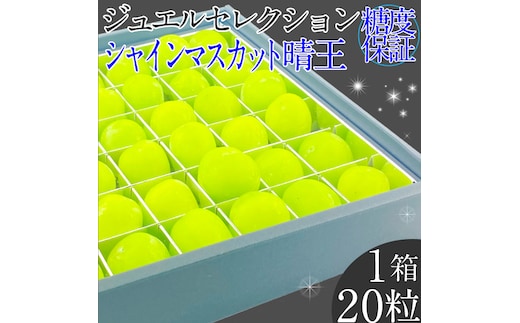 2026年 先行予約受付中 シャインマスカット晴王 ジュエルセレクション 1箱20粒 岡山県産 種無し 皮ごと食べる みずみずしい 甘い 瀬戸内 ハレノフルーツ