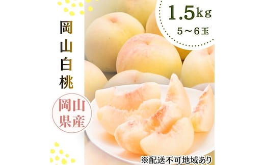 2026年先行予約 岡山県産 白桃 岡山白桃1.5kg箱 5～6玉 桃 果物 もも フレッシュ ハレノフルーツ