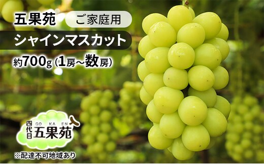 ぶどう 2026年 先行予約 ご家庭用 シャインマスカット 約700g（1房～数房） ぶどう フルーツ 果物 岡山 五果苑 岡山のぶどう 岡山の果物 岡山のフルーツ 産地直送