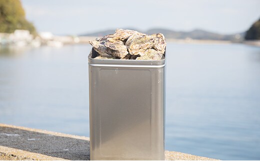 牡蠣 2026年 先行予約 殻付き牡蠣 お徳用 一斗缶 （小粒 約100個、約11kg） 山銀商店 瀬戸内海虫明湾産 生牡蠣 かき 魚介類 カキ 軍手 ナイフ付き 加熱調理用 