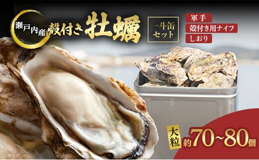 牡蠣 2026年 先行予約 殻付き牡蠣 一斗缶 （ 大つぶ 約70個～80個） 山銀商店 瀬戸内海虫明湾産 生牡蠣 かき 魚介類 カキ 軍手 ナイフ付き 加熱調理用 