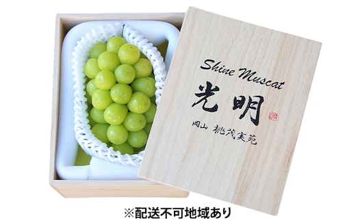 ぶどう 早期受付 極上追熟 シャイン マスカット 1房 650g以上 「光明」桐箱入り ブドウ 葡萄 岡山県産 国産 フルーツ 果物 ギフト 桃茂実苑 果物類 