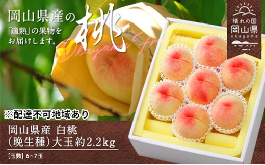 桃 2026年 先行予約 白桃 晩生種 大玉 約2.2kg 6～7玉 もも モモ 岡山県産 国産 フルーツ 果物 ギフト 