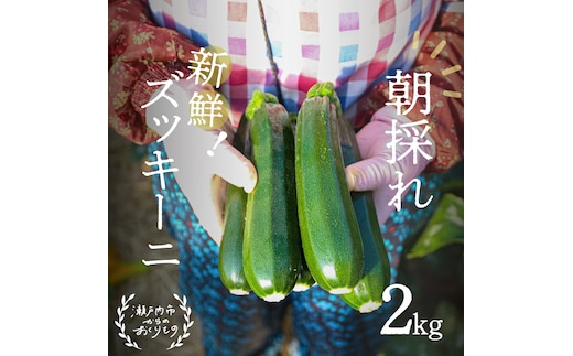 瀬戸内 牛窓産 ズッキーニ 約2kg（12本前後） 野菜 岡山県産 