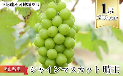 ぶどう 2026年 先行予約 シャイン マスカット 晴王 1房（700g以上）化粧箱入り マスカット ブドウ 葡萄 岡山県産 国産 フルーツ 果物 ギフト シャインマスカット 贈答箱 