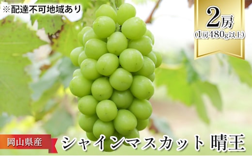 ぶどう 2026年 先行予約 シャイン マスカット 晴王 2房 （1房480g以上） 化粧箱入り マスカット ブドウ 葡萄 岡山県産 国産 フルーツ 果物 ギフト はれおう 