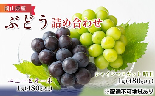 ぶどう 2026年 先行予約 詰め合わせ ニュー ピオーネ 1房（480g以上）・ シャイン マスカット 晴王 1房（480g以上）化粧箱入り ブドウ 葡萄 岡山県産 国産 フルーツ 果物 ギフト 