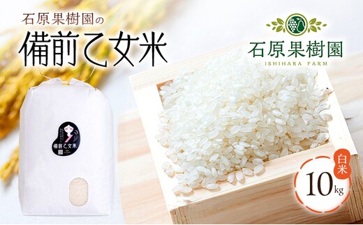 米 令和7年産 石原果樹園の備前乙女米 白米 10kg×1袋 ※11月上旬～順次発送予定 お米 精米 白米 ライス 乳酸菌栽培 岡山県 おにぎり お弁当 