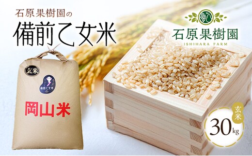 米 令和7年産 石原果樹園の備前乙女米 玄米 30kg×1袋 ※11月上旬～順次発送予定 お米 ライス 乳酸菌栽培 岡山県 おにぎり お弁当 
