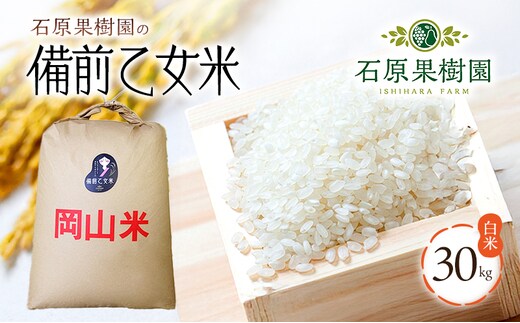 米 令和7年産 石原果樹園の備前乙女米 白米 30kg×1袋 ※11月上旬～順次発送予定 お米 精米 白米 ライス 乳酸菌栽培 岡山県 おにぎり お弁当 