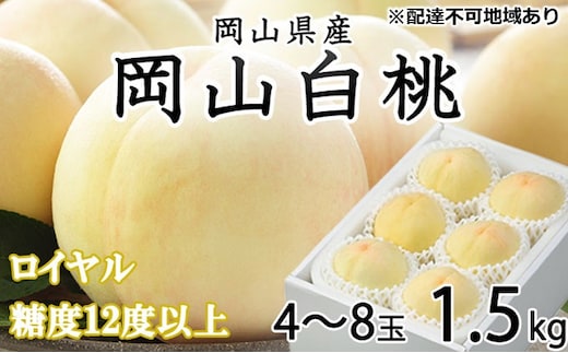 桃 2026年 先行予約 岡山 白桃 ロイヤル 4～8玉 約1.5kg JAおかやまのもも（早生種・中生種） もも モモ 岡山県産 国産 フルーツ 果物 ギフト 
