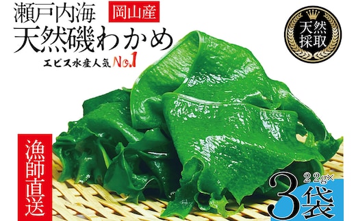 風味豊かな 瀬戸内 わかめ 22g×3袋 エビス水産【岡山 瀬戸内海 天然 カットわかめ】 常備菜 無添加 無着色 味噌汁 炊き込み 