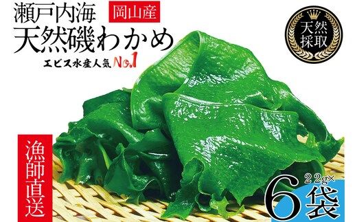 風味豊かな 瀬戸内 わかめ 22g×6袋 エビス水産【岡山 瀬戸内海 天然 カットわかめ】 常備菜 無添加 無着色 味噌汁 炊き込み 