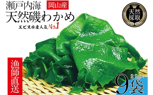 風味豊かな 瀬戸内 わかめ 22g×9袋 エビス水産【岡山 瀬戸内海 天然 カットわかめ】 常備菜 無添加 無着色 味噌汁 炊き込み 