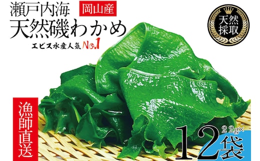 風味豊かな 瀬戸内 わかめ 22g×12袋 エビス水産【岡山 瀬戸内海 天然 カットわかめ】 常備菜 無添加 無着色 味噌汁 炊き込み 