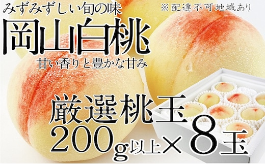 桃 2026年 先行予約 岡山の白桃 200g以上×8玉 白桃 旬 みずみずしい 晴れの国 おかやま 岡山県産 フルーツ王国 果物王国 デザート 岡山の桃 旬の桃 