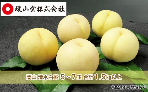 桃 2026年 先行予約 岡山 清水 白桃 5～7玉 合計1.5kg以上 もも モモ 岡山県産 国産 フルーツ 果物 ギフト 環山堂 直射日光 有袋栽培 皮が薄い 上品 甘み 香り 希少 クリーミー 果汁 贈り物 