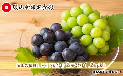 ぶどう 2026年 先行予約 種無し ぶどう 詰合せ 2房 合計1.2kg以上 マスカット ブドウ 葡萄 岡山県産 国産 フルーツ 果物 ギフト 環山堂 大粒 甘い 甘酸っぱさ 人気 香り 皮ごと 高糖度 贈り物 