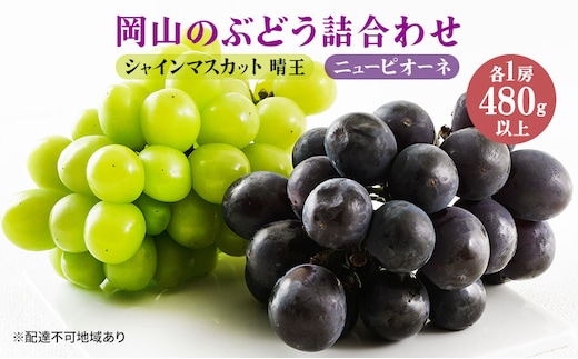 ぶどう 2026年 先行予約 果物 詰合せ ニュー ピオーネ 1房480g以上 シャイン マスカット 晴王 1房 480g以上 化粧箱入り 岡山県産 国産 フルーツ 果物 ギフト 贈答品 フルーツ詰め合わせ 食べ比べ 