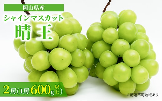 ぶどう 2026年 先行予約 シャイン マスカット 晴王 2房 （1房 600g以上） 化粧箱入り マスカット ブドウ 葡萄 岡山県産 国産 フルーツ 果物 ギフト 高級ぶどう 大粒 種なし 贈答品 