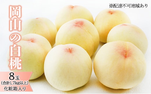 桃 2026年 先行予約 岡山 の 白桃 8玉（合計1.7kg以上）化粧箱入り もも モモ 岡山県産 国産 フルーツ 果物 ギフト デザート 上品な甘み とろける 産地直送 