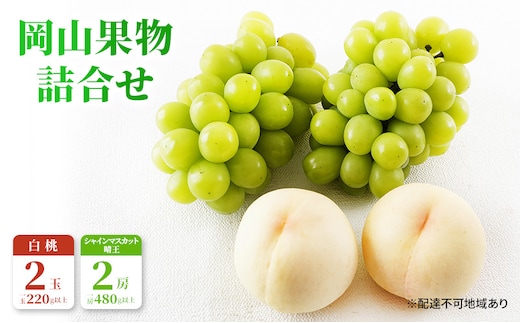 桃 ぶどう 2026年 先行予約 果物 詰合せ 白桃 2玉（1玉220g以上）シャインマスカット 晴王 2房（1房480g以上）化粧箱入り 岡山県産 国産 フルーツ ギフト フルーツ詰め合わせ 贈答品 セット 
