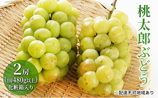 ぶどう 2026年 先行予約 桃太郎 ぶどう 2房（1房480g以上）化粧箱入り ブドウ 葡萄 岡山県産 国産 フルーツ 果物 ギフト 大粒 種なし 果汁たっぷり 酸味 甘さ バランス 