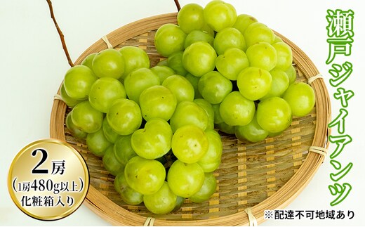 ぶどう 2026年 先行予約 瀬戸 ジャイアンツ 2房（1房480g以上）約1kg 化粧箱入り ブドウ 葡萄 岡山県産 国産 フルーツ 果物 ギフト 薄皮 皮ごと 高糖度 酸味控えめ 甘酸っぱい 
