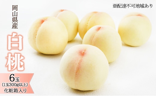 桃 2026年 先行予約 白桃 6玉（1玉300g以上）化粧箱入り もも モモ 岡山県産 国産 フルーツ 果物 ギフト 透き通る 白い 柔らかい 果汁 きめ細やか 恵み 知恵 情熱 贈り物 