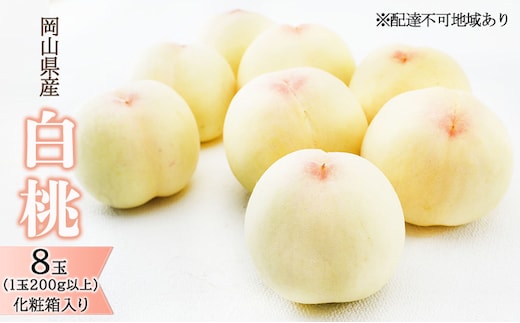 桃 2026年 先行予約 白桃 8玉（1玉200g以上）化粧箱入り もも モモ 岡山県産 国産 フルーツ 果物 ギフト 透き通る 白い 柔らかい 果汁 きめ細やか 恵み 知恵 情熱 贈り物 
