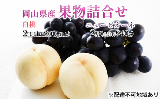 桃 ぶどう 2026年 先行予約 果物詰合せ 白桃 2玉（1玉200g以上） ニュー ピオーネ 2房（合計約940g）化粧箱入り 岡山県産 国産 フルーツ 果物 ギフト 贈り物 セット 