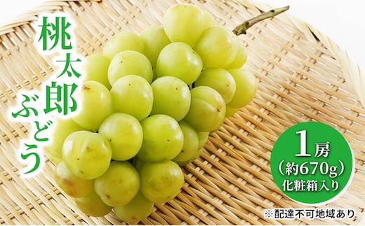 ぶどう 2026年 先行予約 桃太郎 ぶどう 1房（1房約670g）化粧箱入り マスカット ブドウ 葡萄 岡山県産 国産 フルーツ 果物 ギフト 大粒 果実 種無し そのまま 粒ごと 酸味 甘さ 人気 