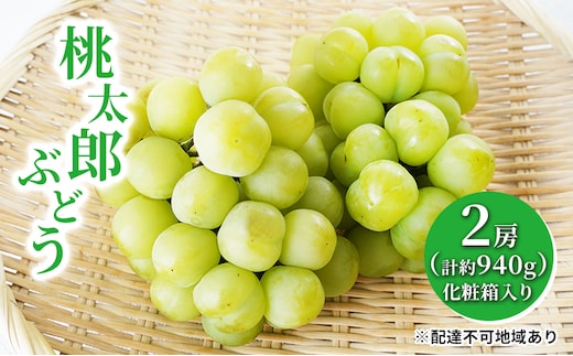 ぶどう 2026年 先行予約 桃太郎 ぶどう 2房（合計約940g）化粧箱入り マスカット ブドウ 葡萄 岡山県産 国産 フルーツ 果物 ギフト 大粒 果実 種無し そのまま 粒ごと 酸味 甘さ 人気 